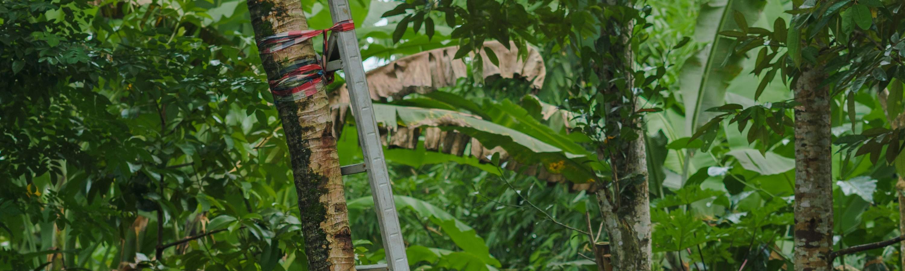 Viaggio di guarigione balinese, corso di cucina, ciclismo o esperienza di vita balinese al Bali Rural Commune