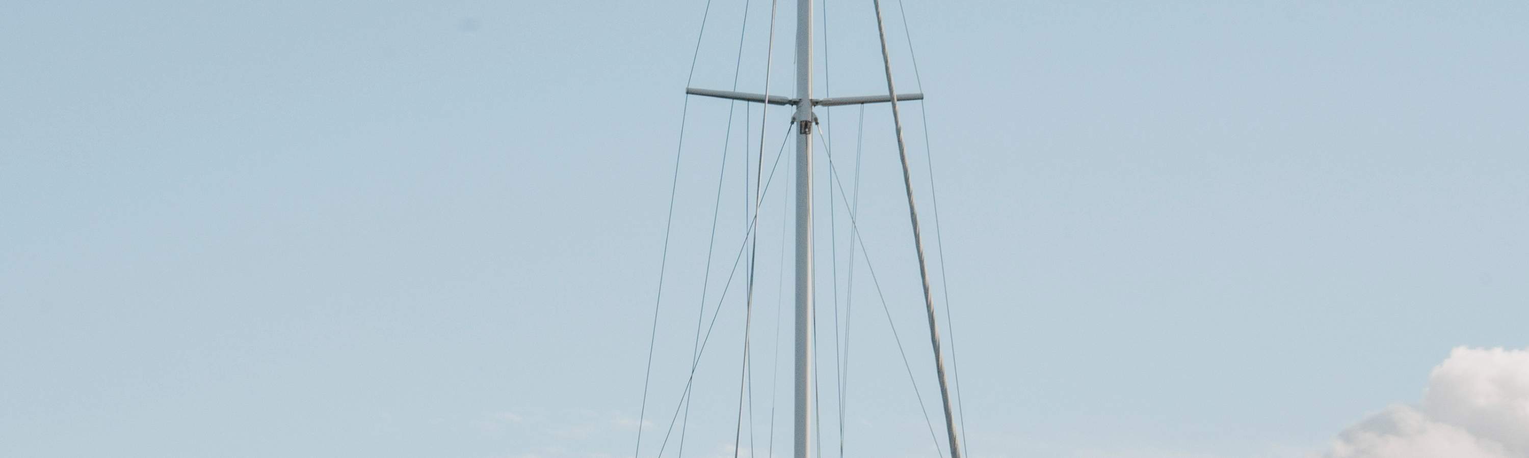 Crucero de Mejillones Verdes de Marlborough