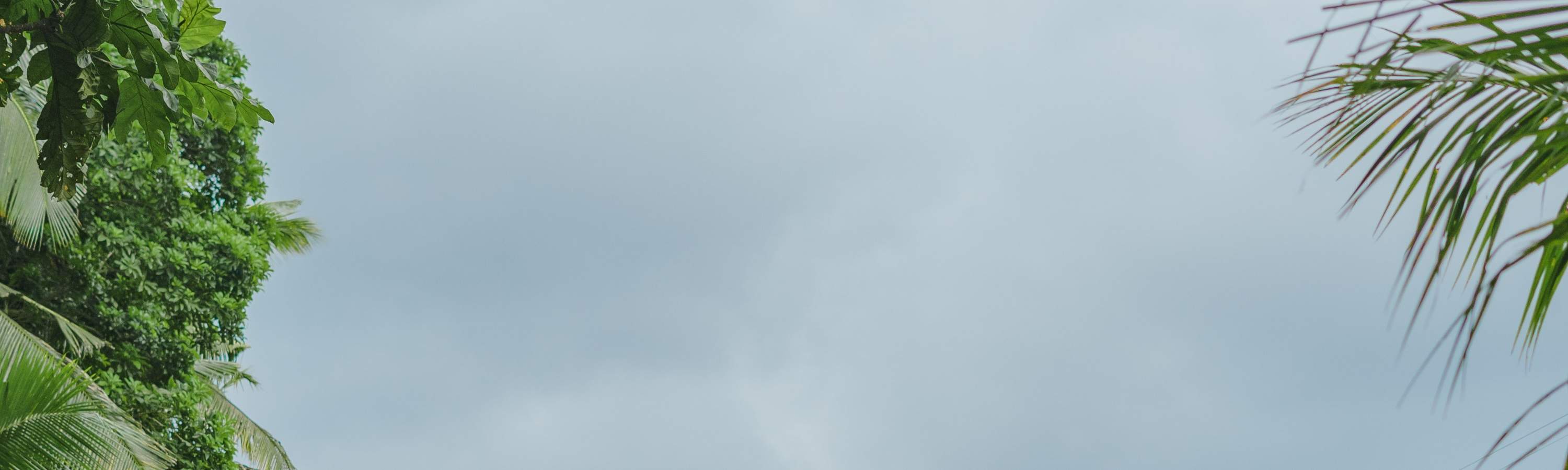 Viaggio di guarigione balinese, corso di cucina, ciclismo o esperienza di vita balinese al Bali Rural Commune