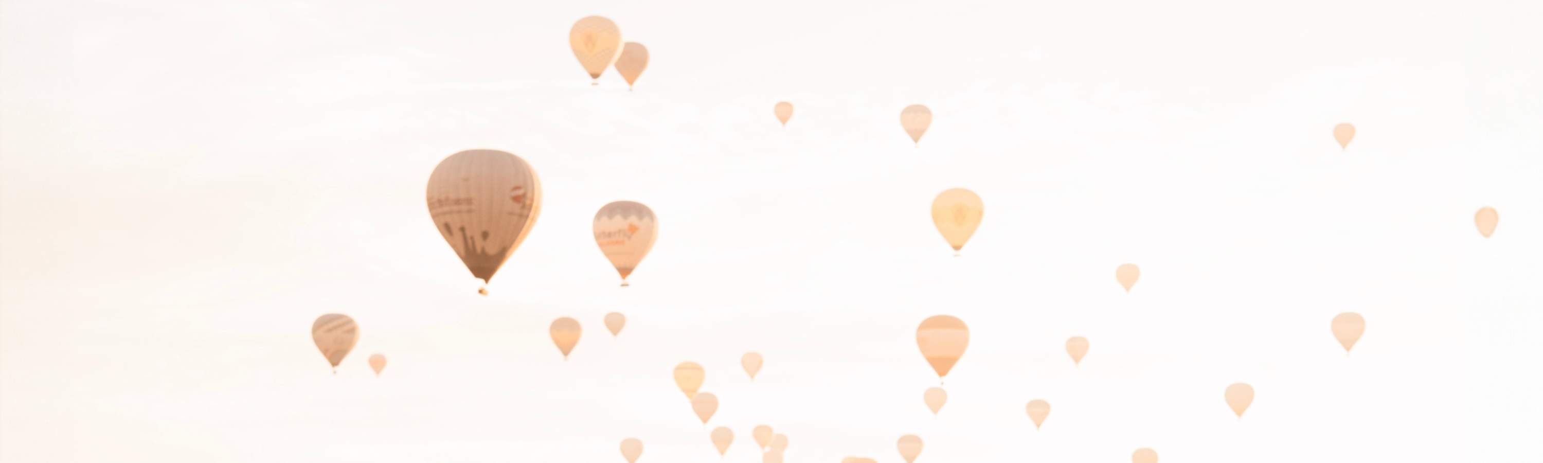 在微風吹拂的緞面與自然光影交織下，捕捉經典的時尚大片