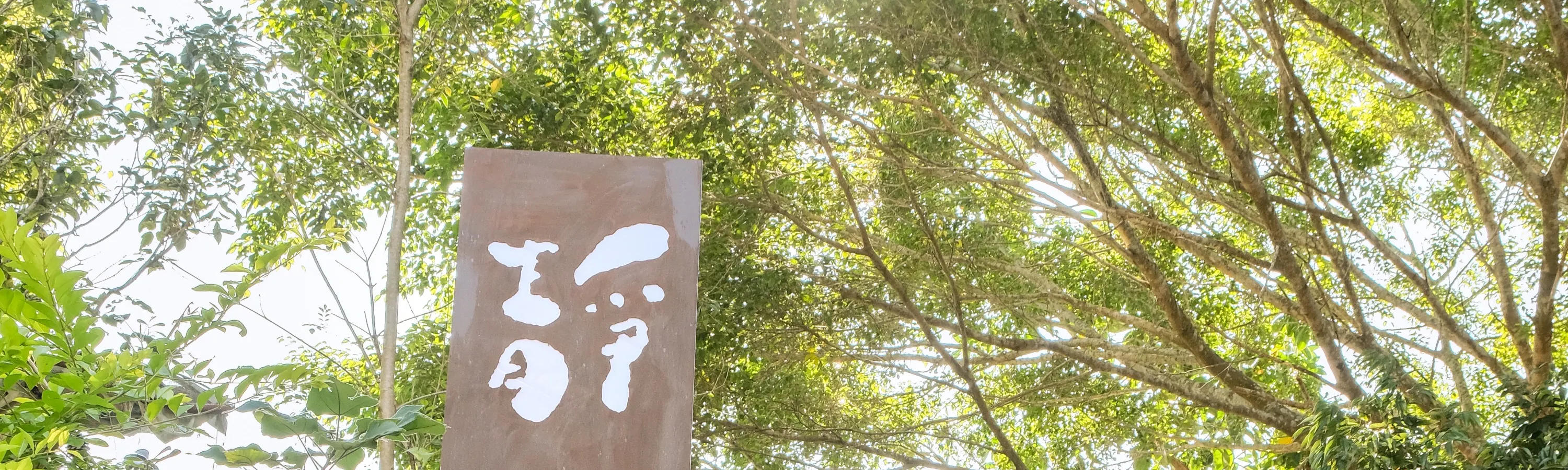 静月居