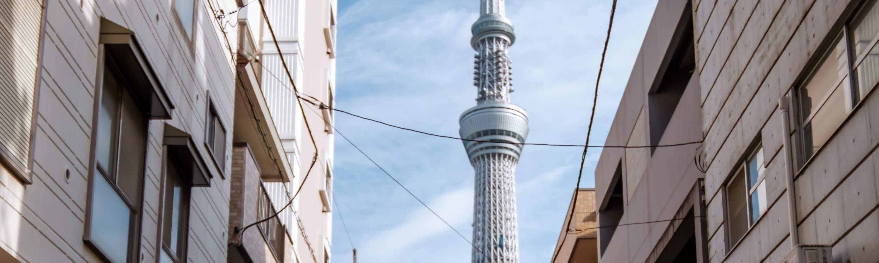 ทัวร์โกคาร์ท Asakusa/อากิฮาบาระ และอ่าวโตเกียว โดย JAPANKART