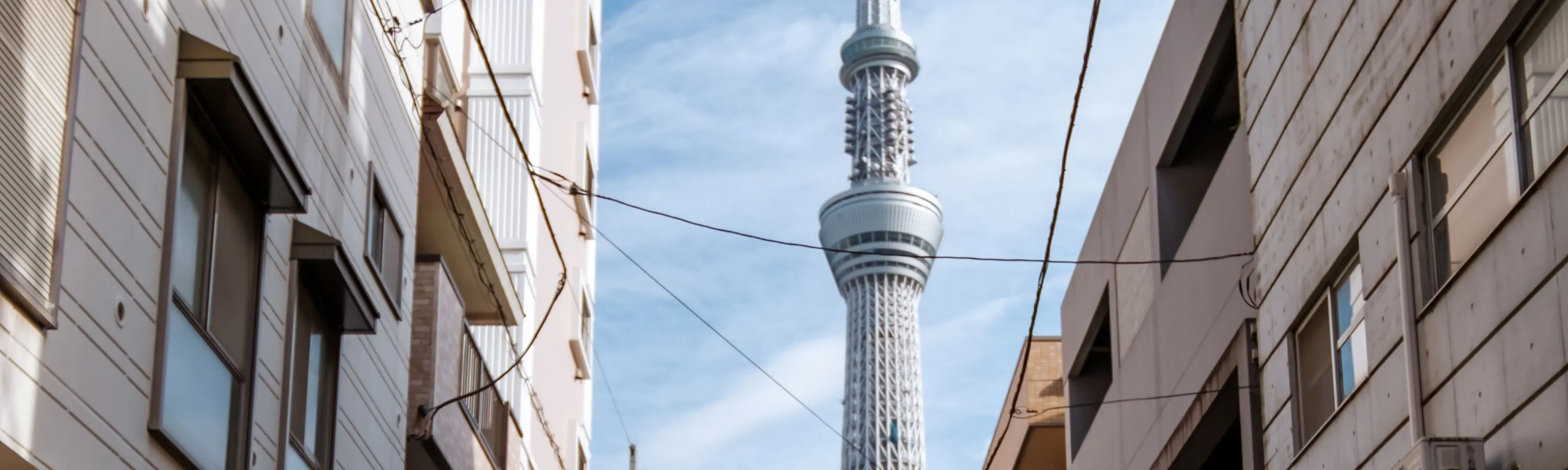浅草 / 东京湾 & 秋叶原卡丁车之旅（JAPANKART 提供）