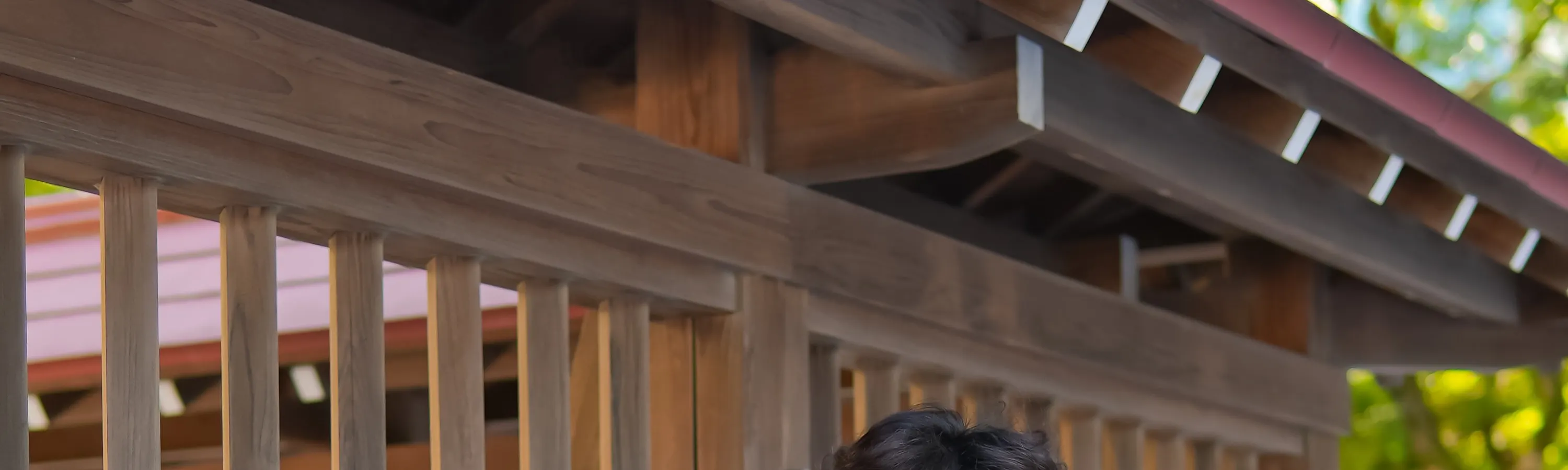 照片