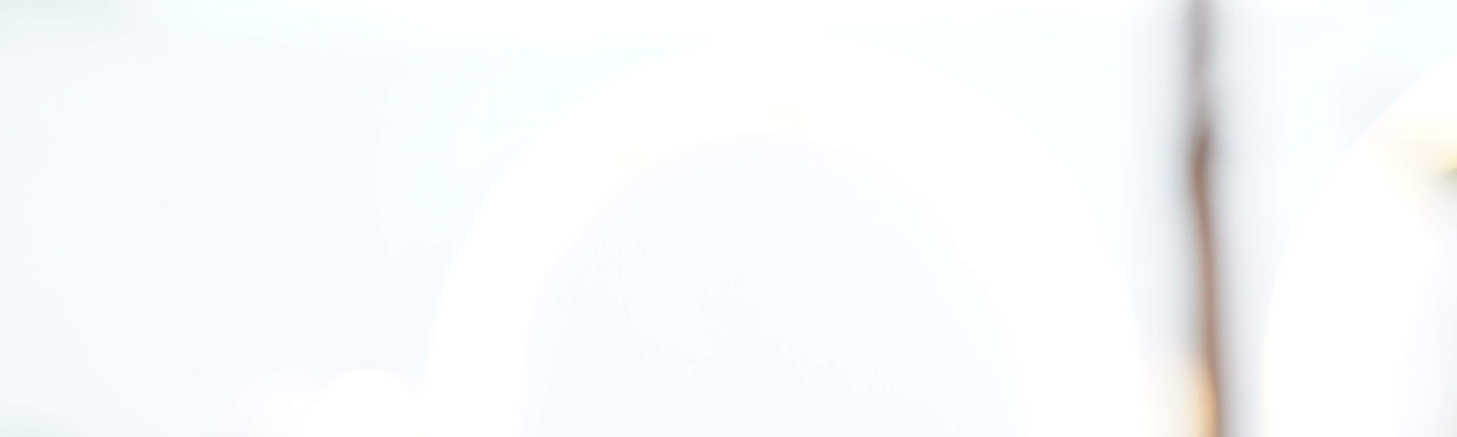 Katzen Café Pet Nirvana