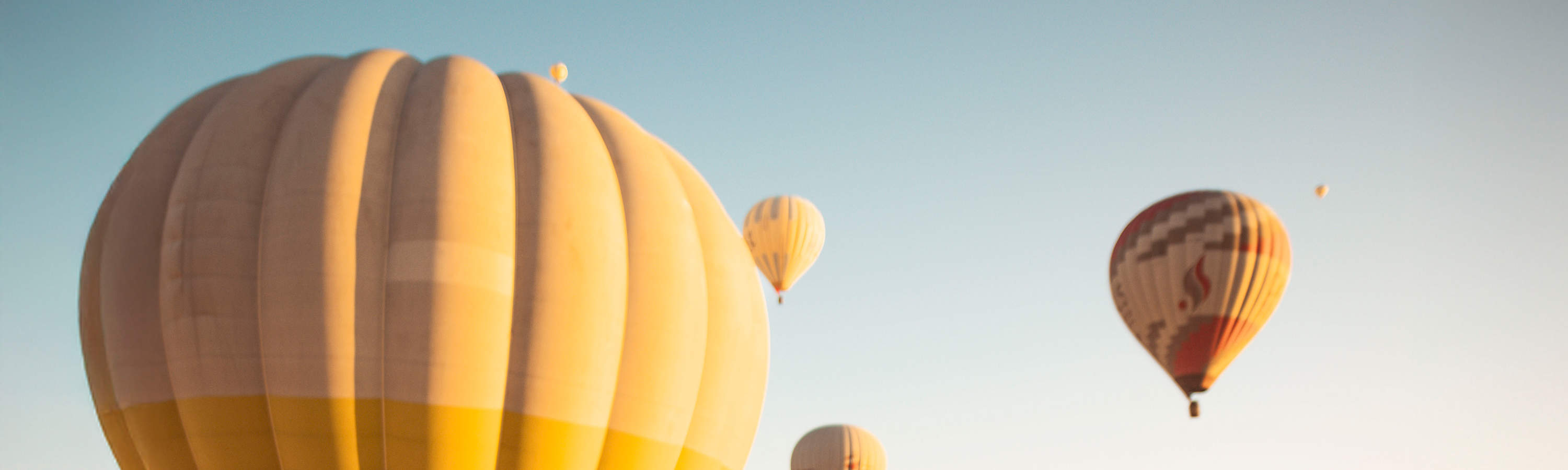 在耀眼的緞面洋裝中，捕捉柔美身段與大膽優雅