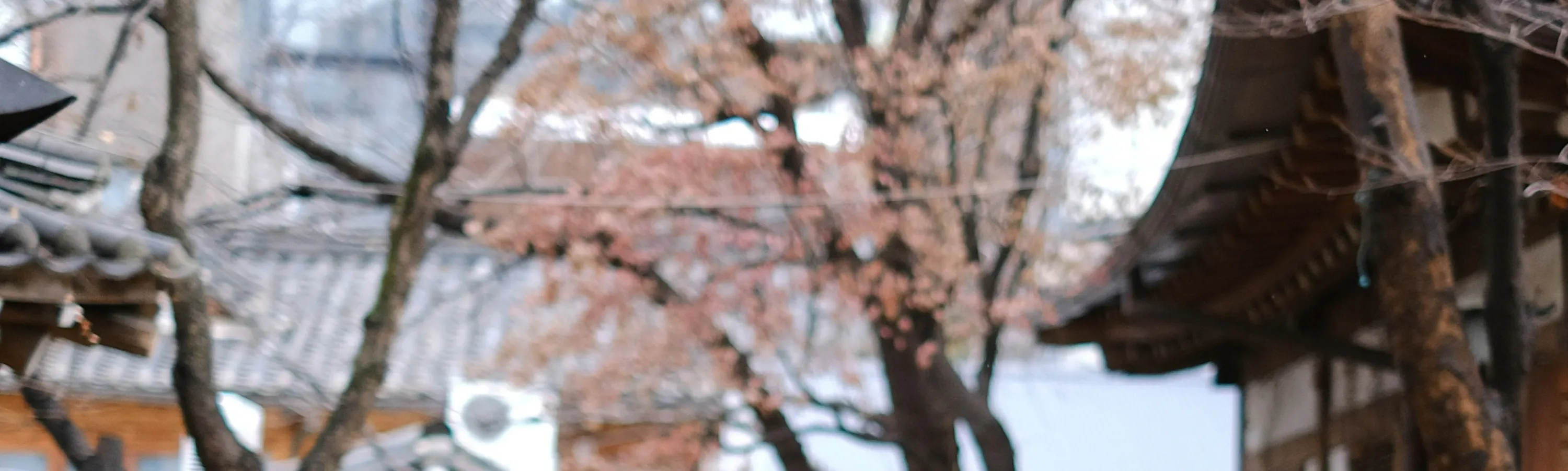 公主韩服（韩服租赁及韩服拍摄）