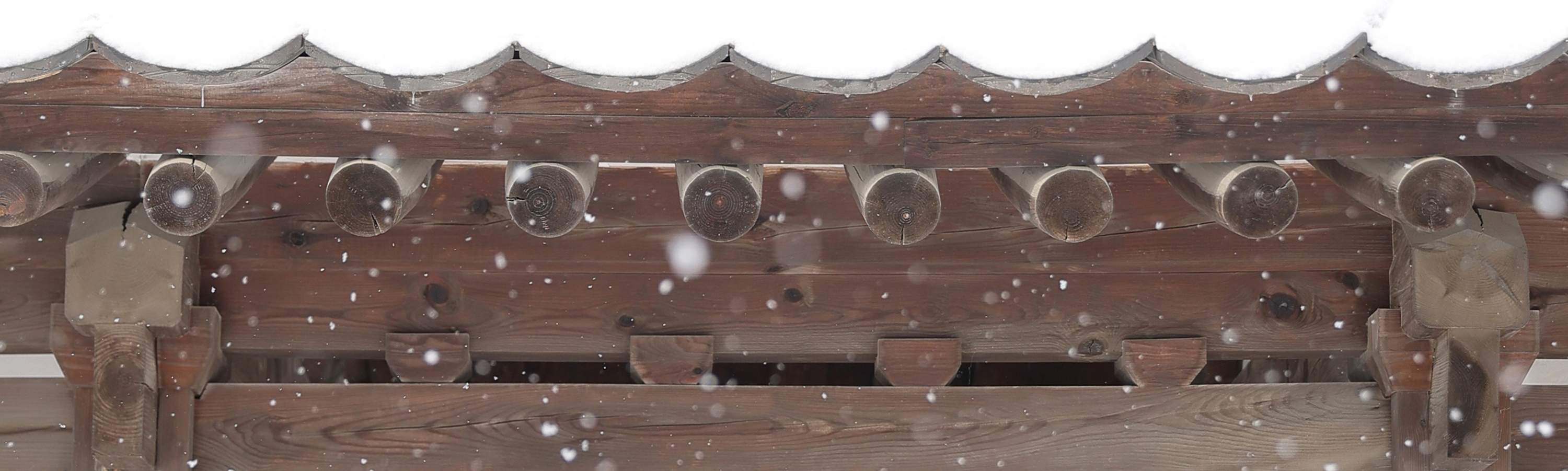 Jeonju Hanok Village Hanbok Experience & Photo Shoot