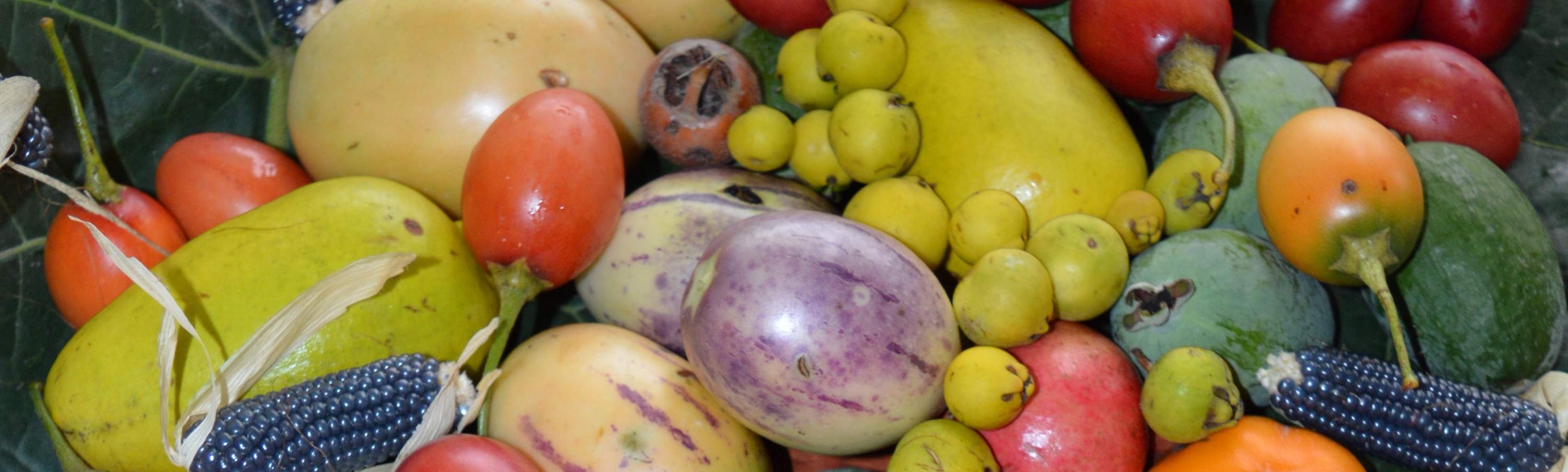 品嚐產地直送的當季水果風味