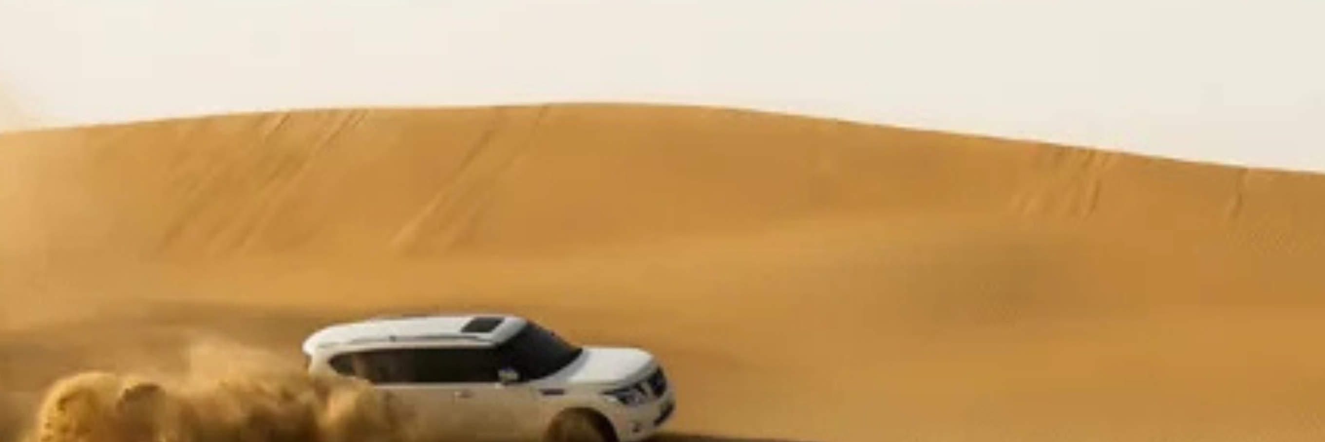 Doha: Safari privado de medio día por el desierto