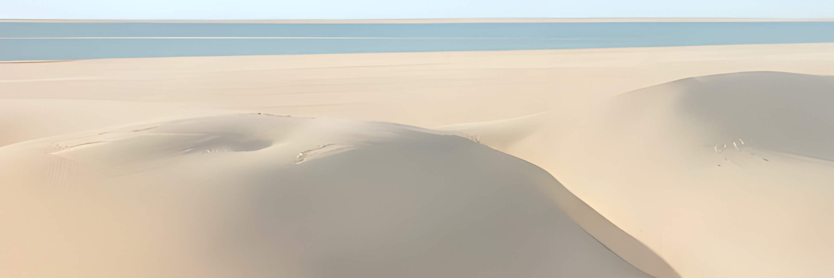 Doha: Safari privado de medio día por el desierto