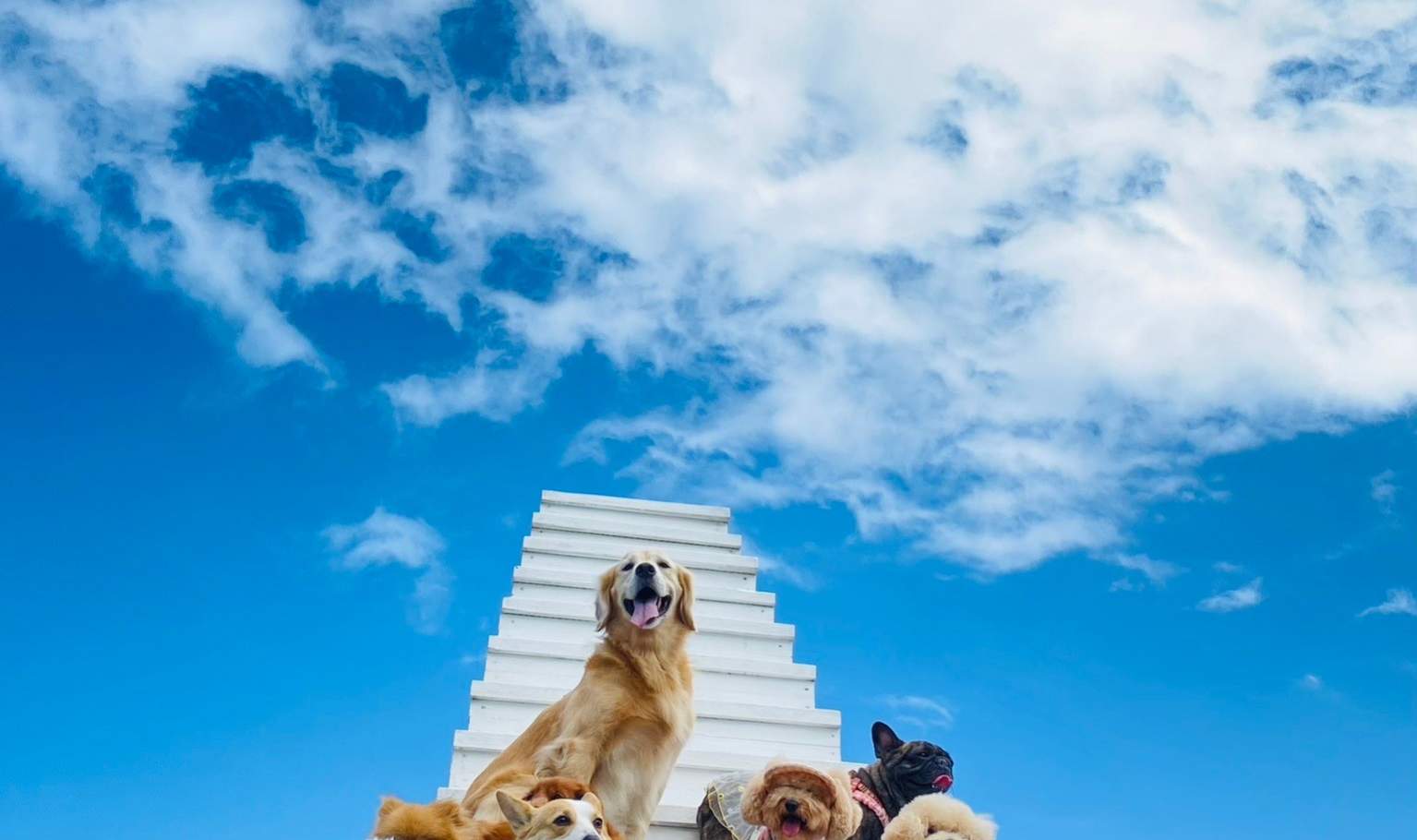 花莲｜漫波星辰｜沙滩车体验