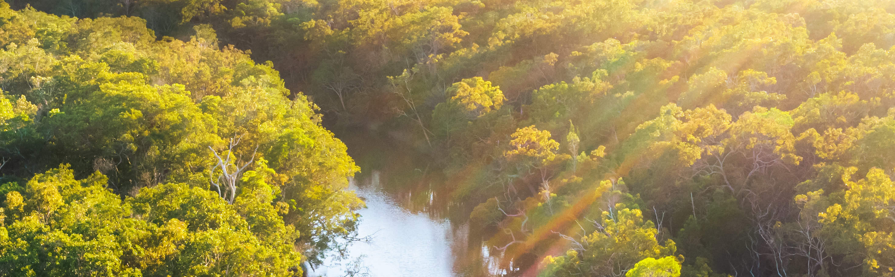 エバーグレーズ クルーズ体験（ヌーサ）