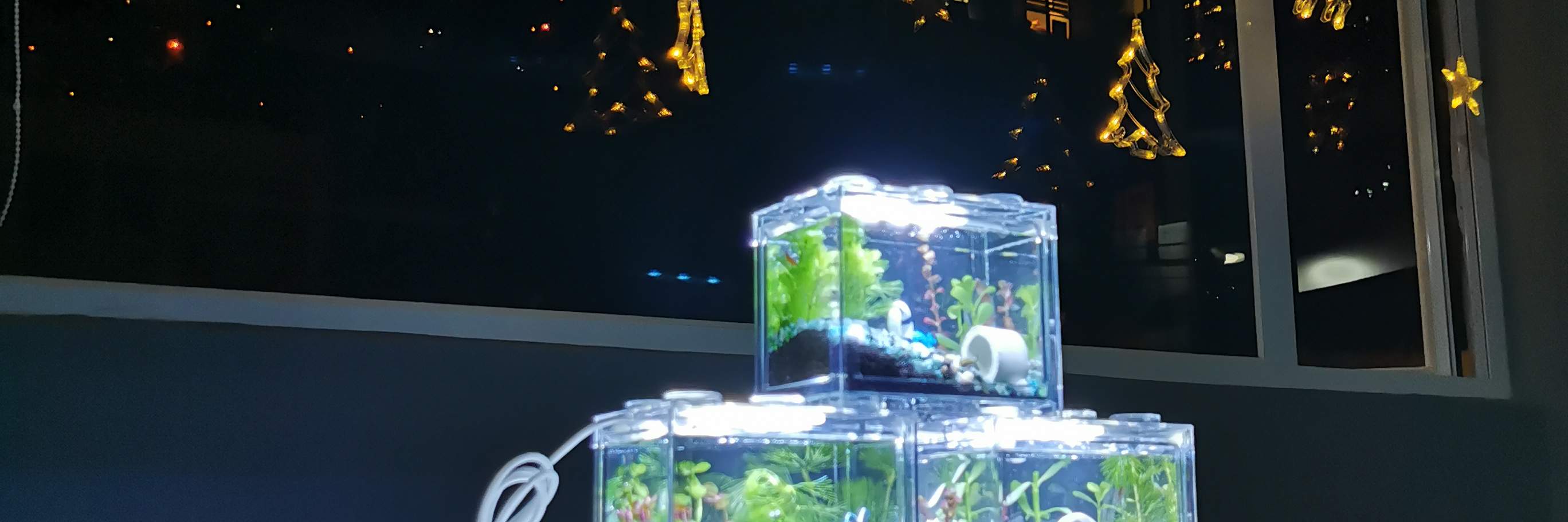 Concept X Plus - 미니 빌딩 블록 에코 아쿠아리움