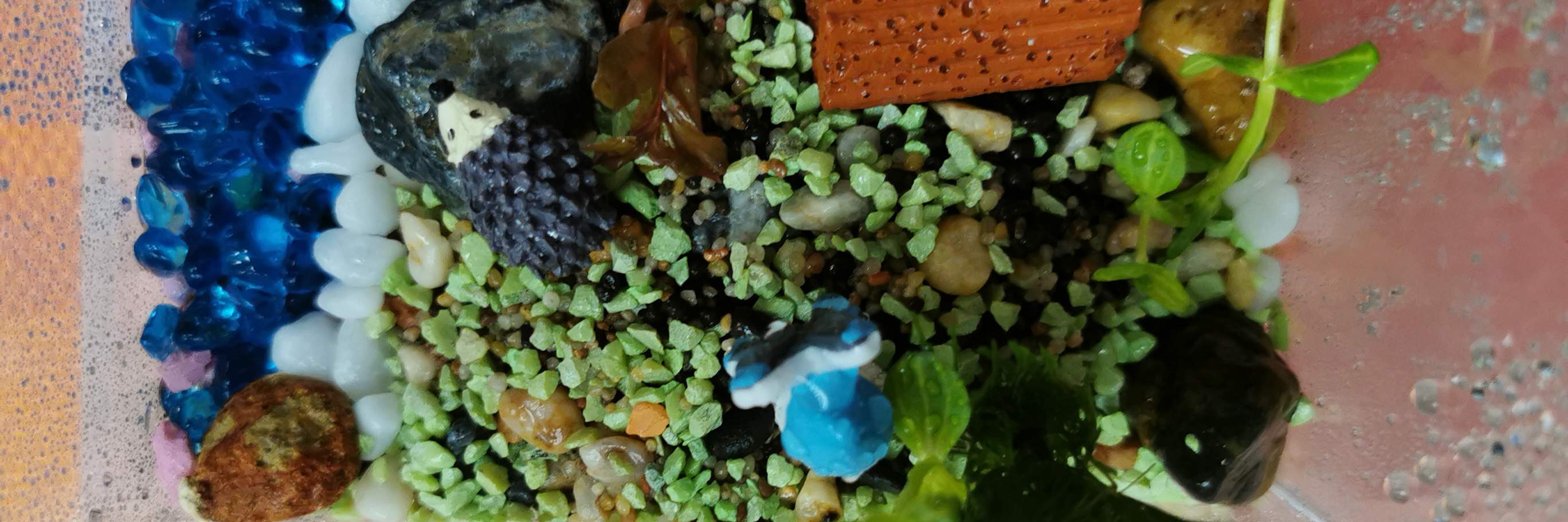 Concept X Plus - 미니 빌딩 블록 에코 아쿠아리움