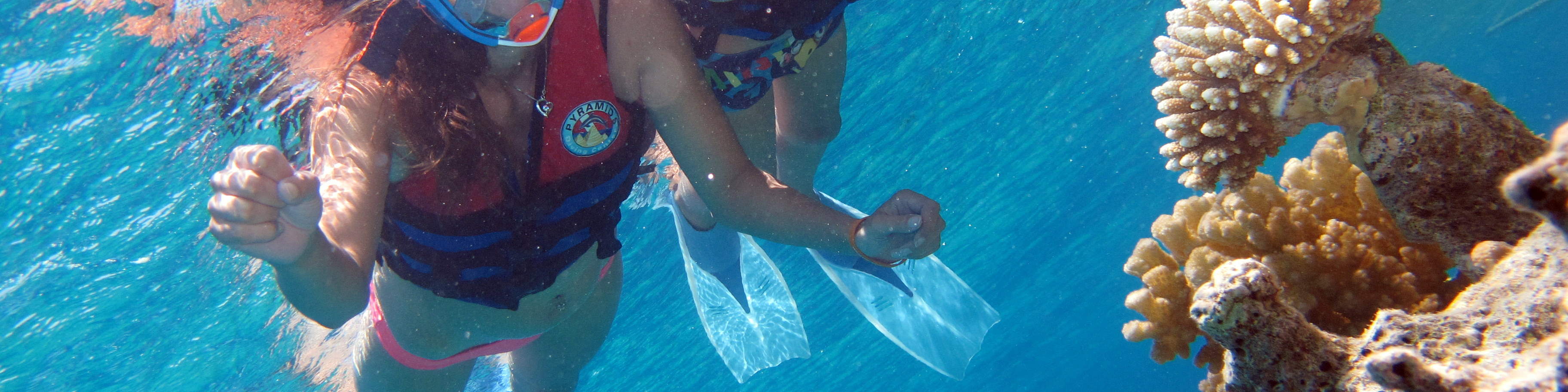 Ras Mohamed浮潜之旅