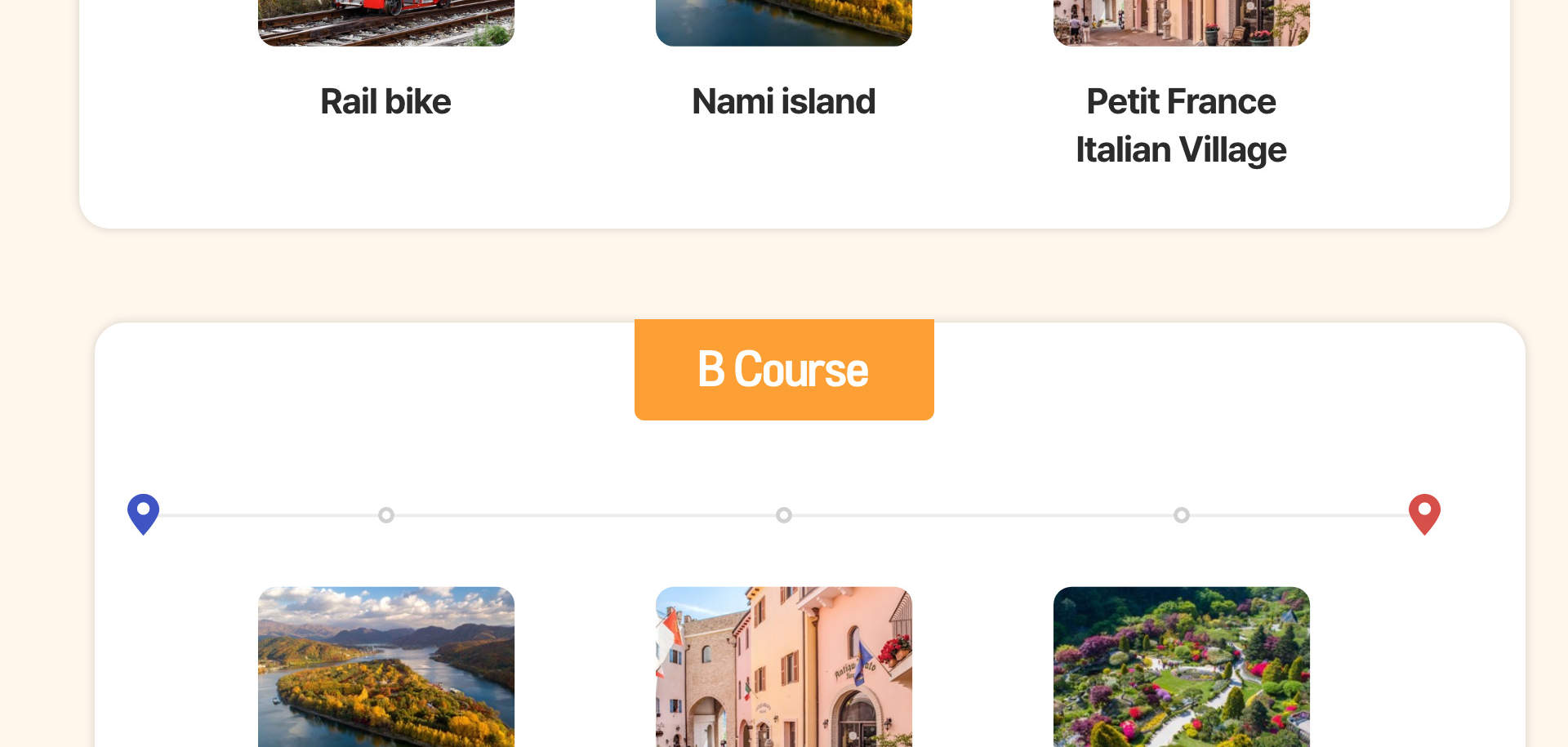 Seoul Car Rental with Driver to Nami Island / Alpaca World / Rail bike 