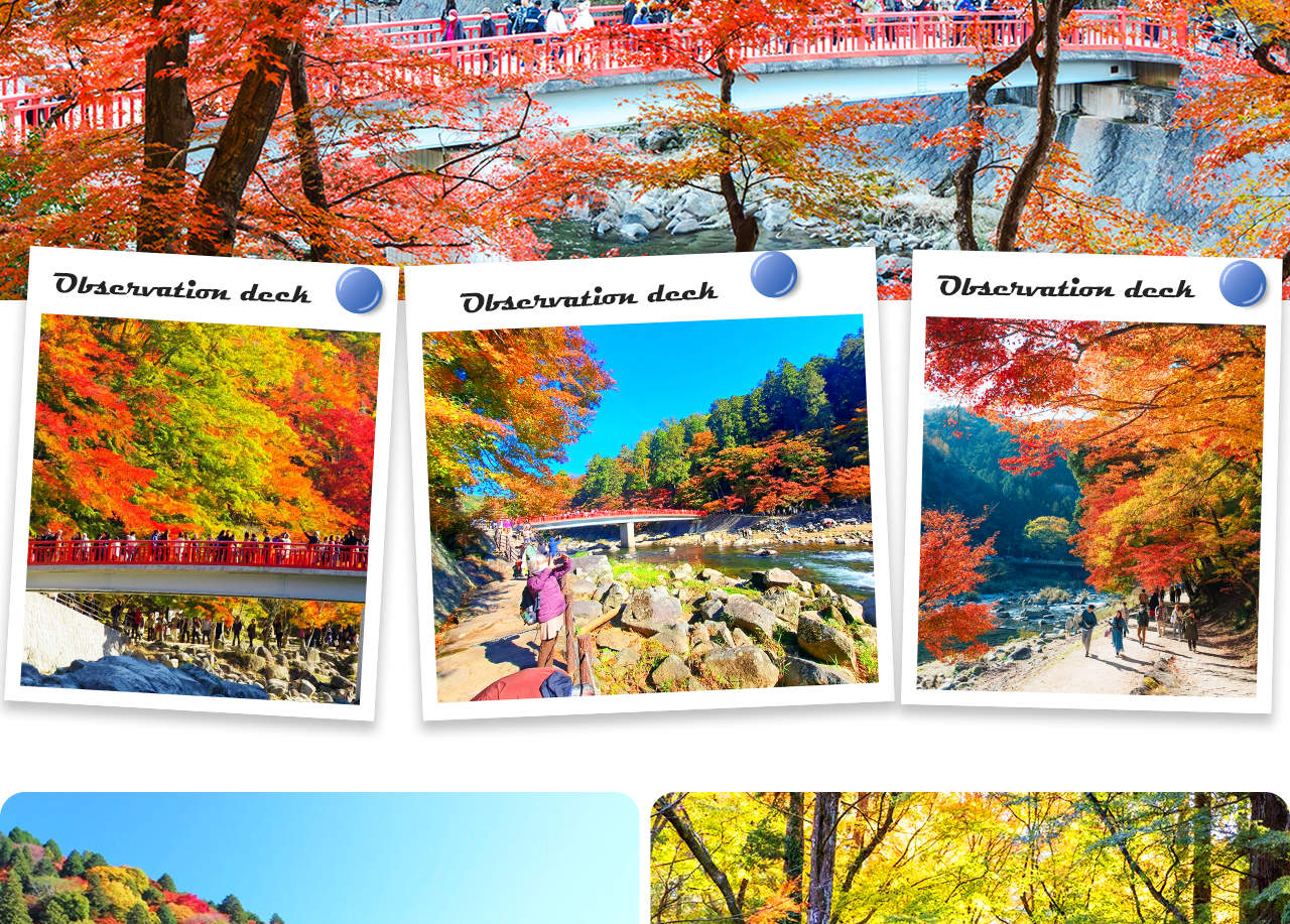 Tiger Creek Mountain Eihoji Temple & Obara Shikizakura & Korankei Autumn  Leaves Day Trip - Klook Singapore