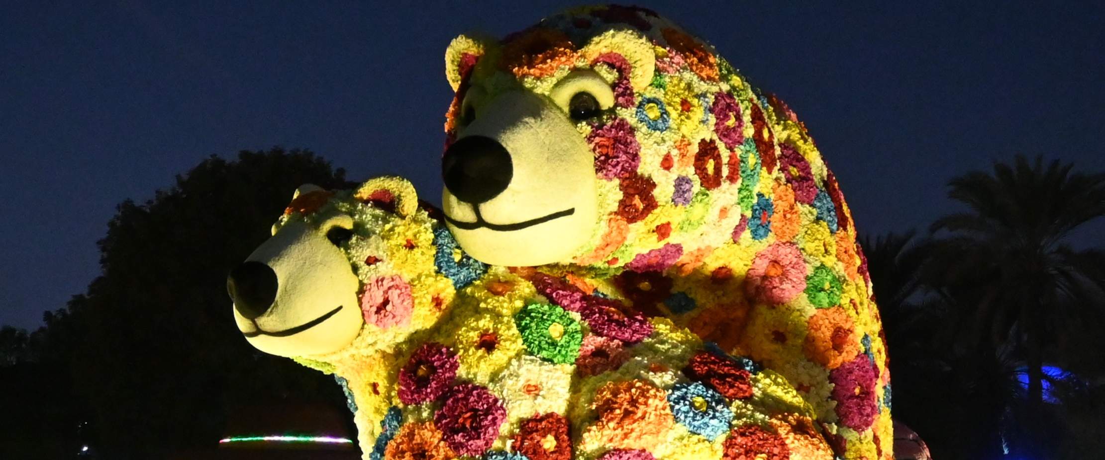 Biglietto per Dubai Garden Glow