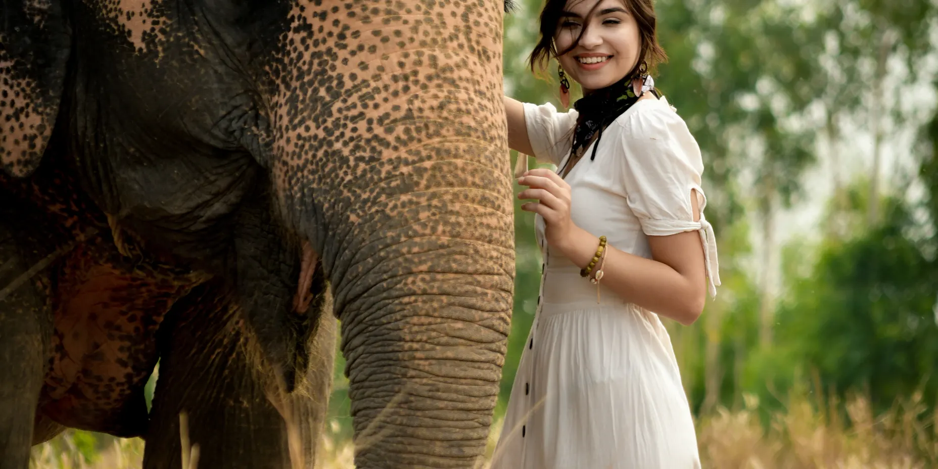 Know elephant language