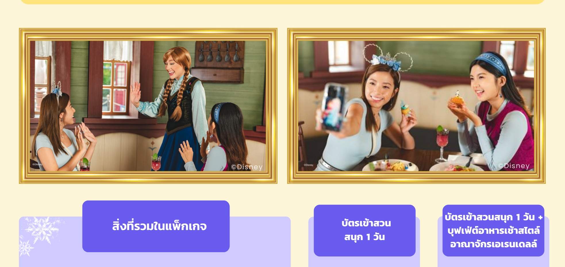 บัตรเข้าสวนสนุกฮ่องกงดิสนีย์แลนด์