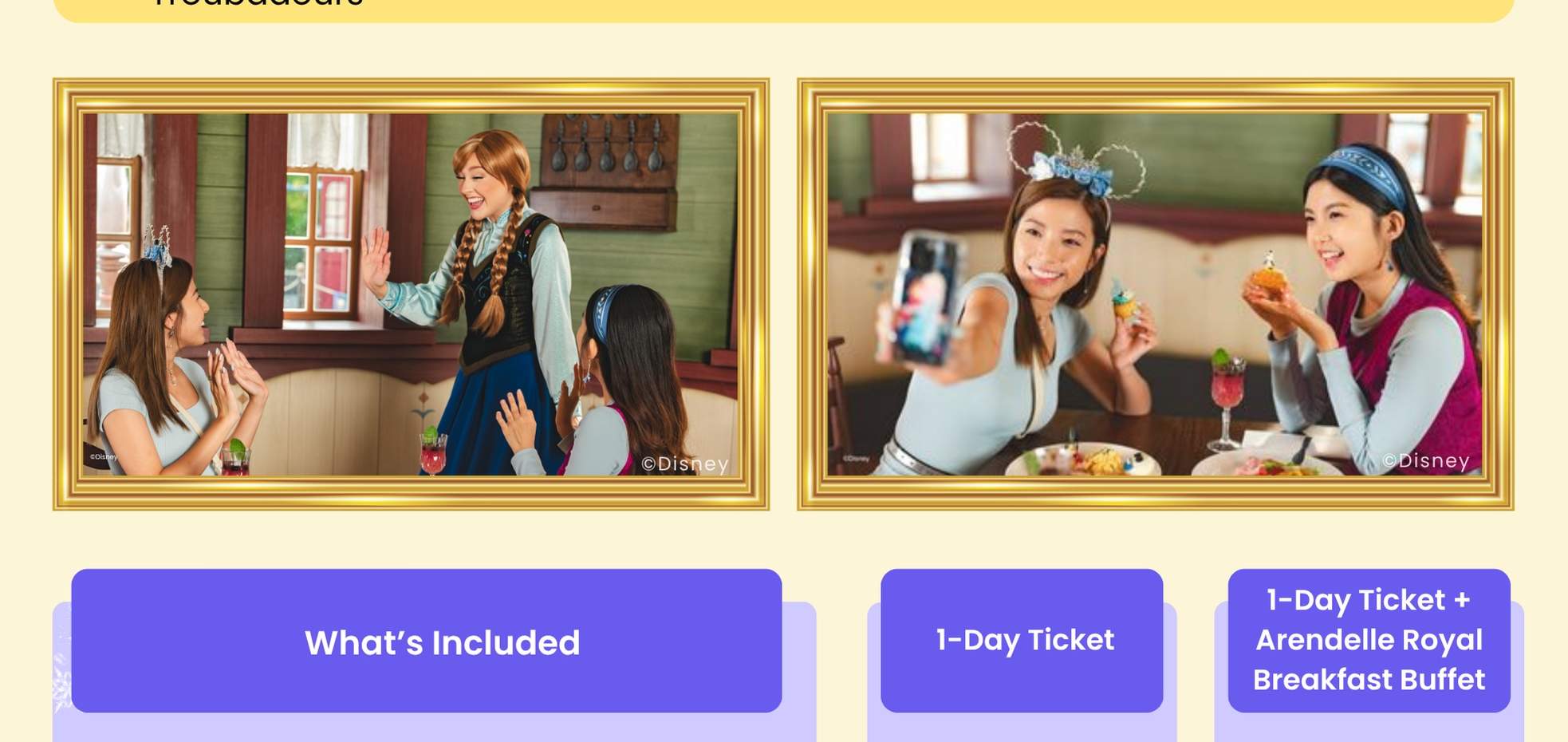 Entrada al Parque Disneyland de Hong Kong