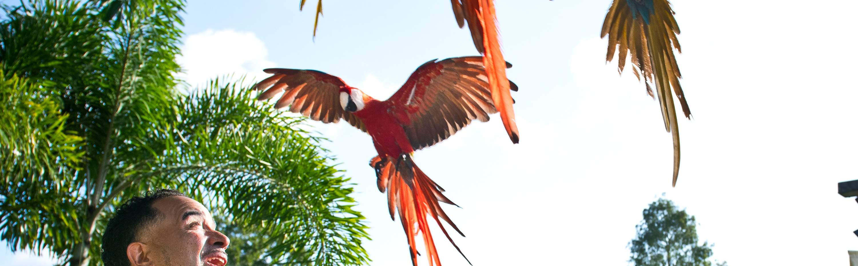 Kemasukan ke ZooTampa dan Florida Aquarium di Tampa