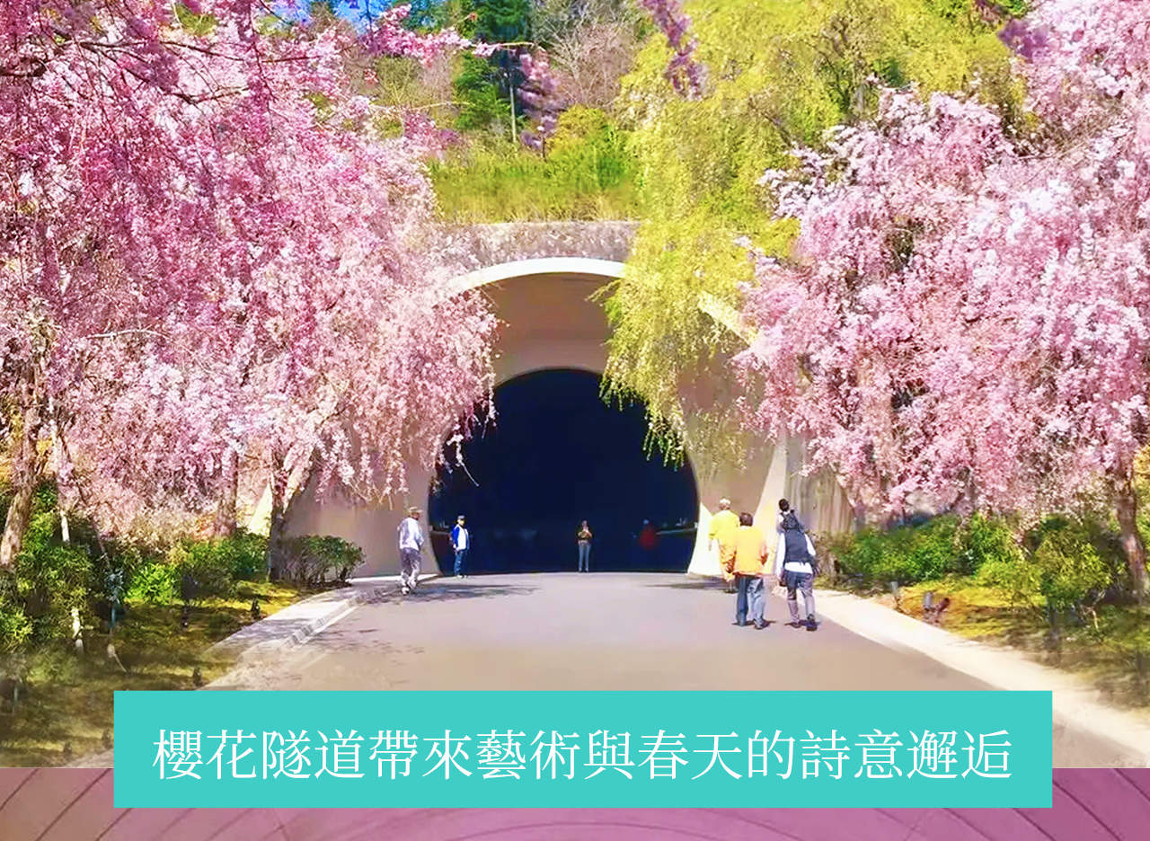 MIHO MUSEUM & 三井寺 夜桜鑑賞 日帰りツアー (大阪/京都発) - Klook