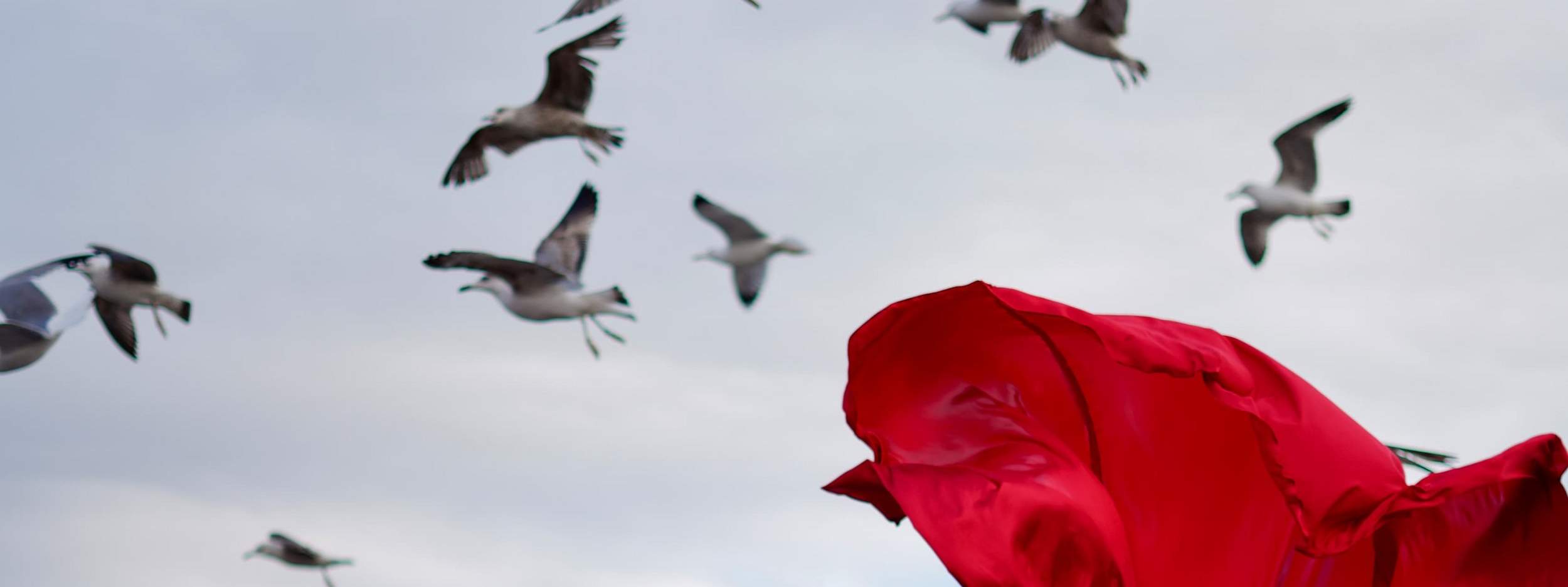 伊斯坦布尔：私人户外露台摄影