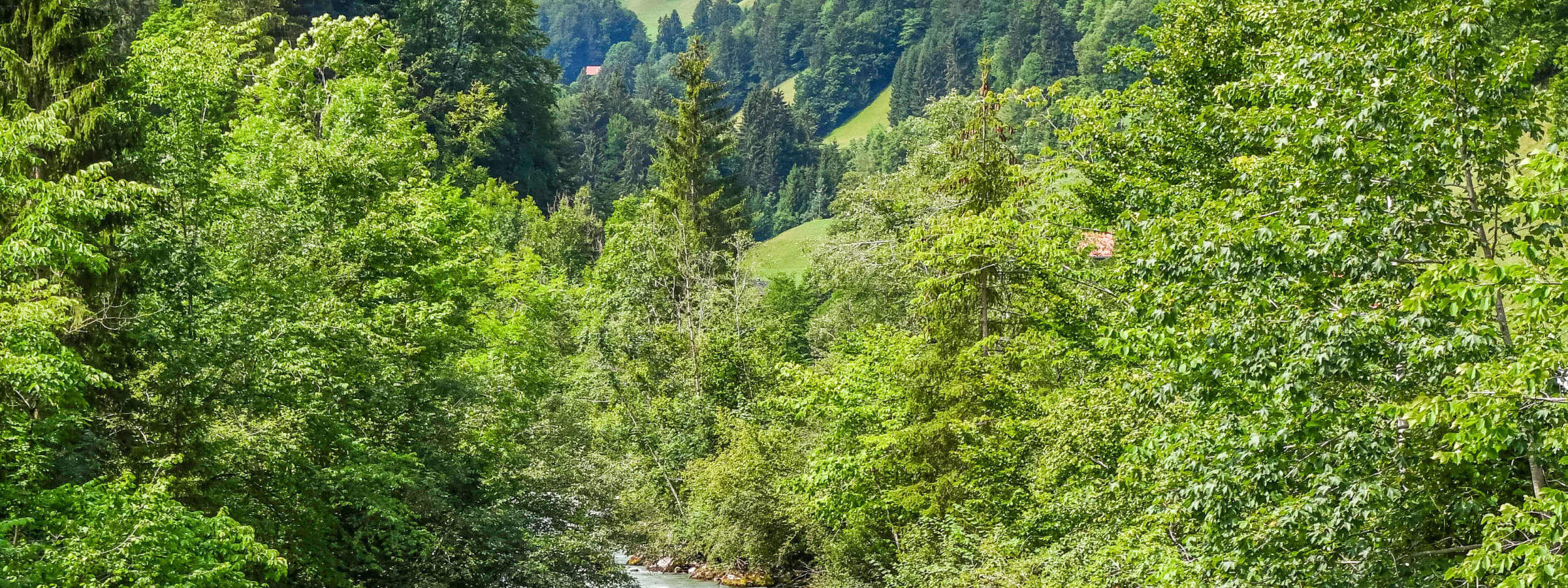 pelbagai rakit dengan pelancong di sungai