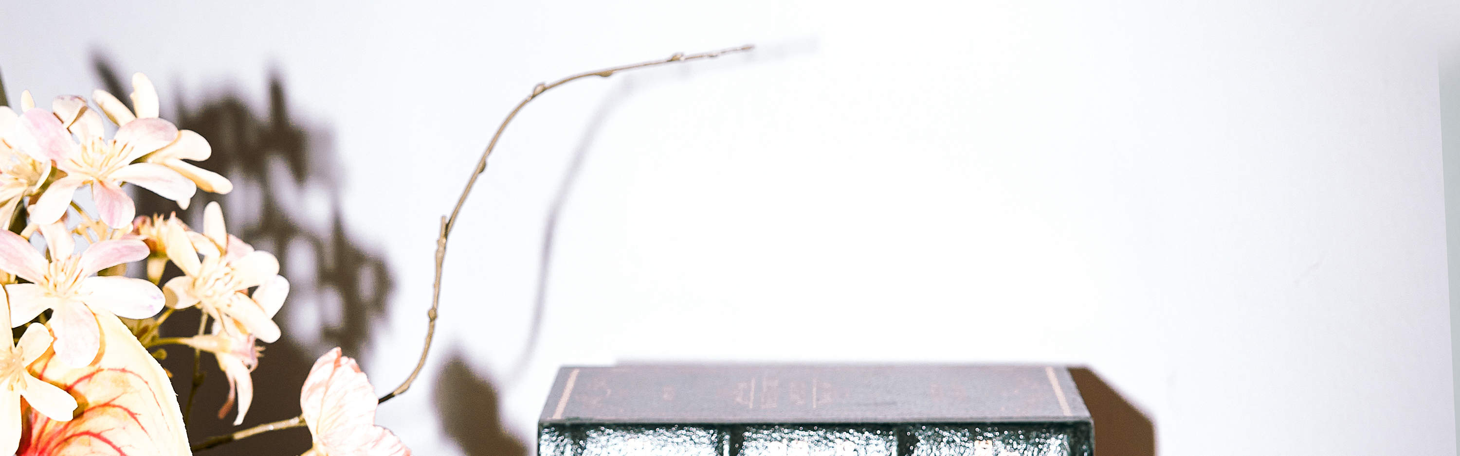 松島現代名牌折扣店：“開始和結束您的旅程”免費禮品券