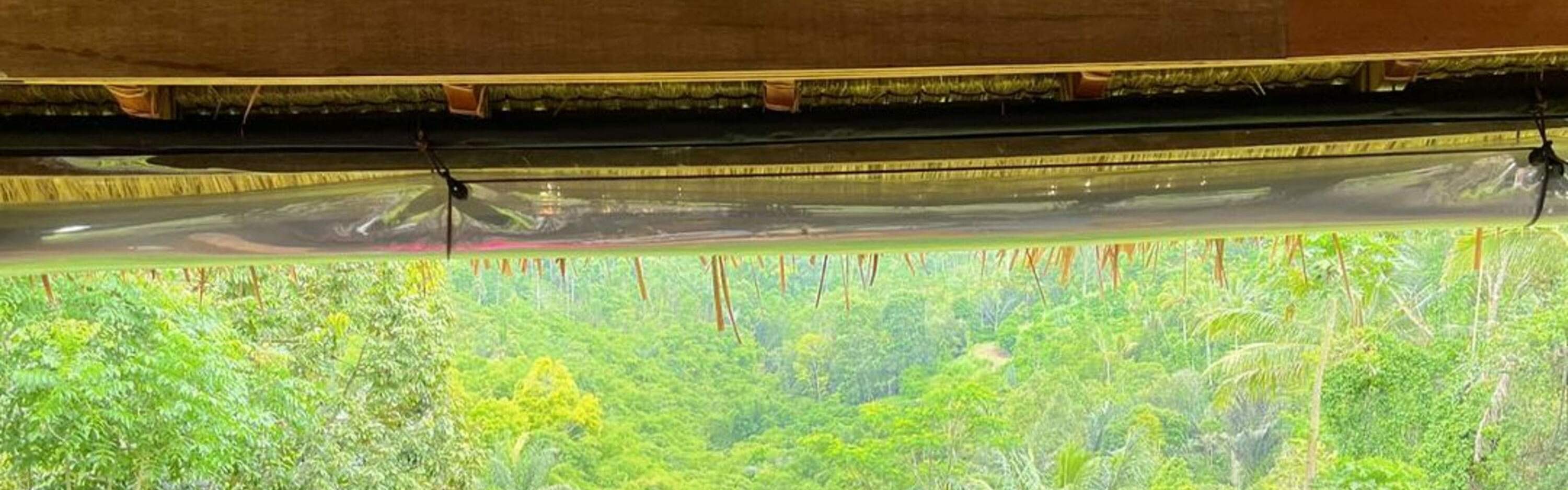 Excursion en Jeep au Mont Batur Alengkong au lever du soleil avec photographe en option