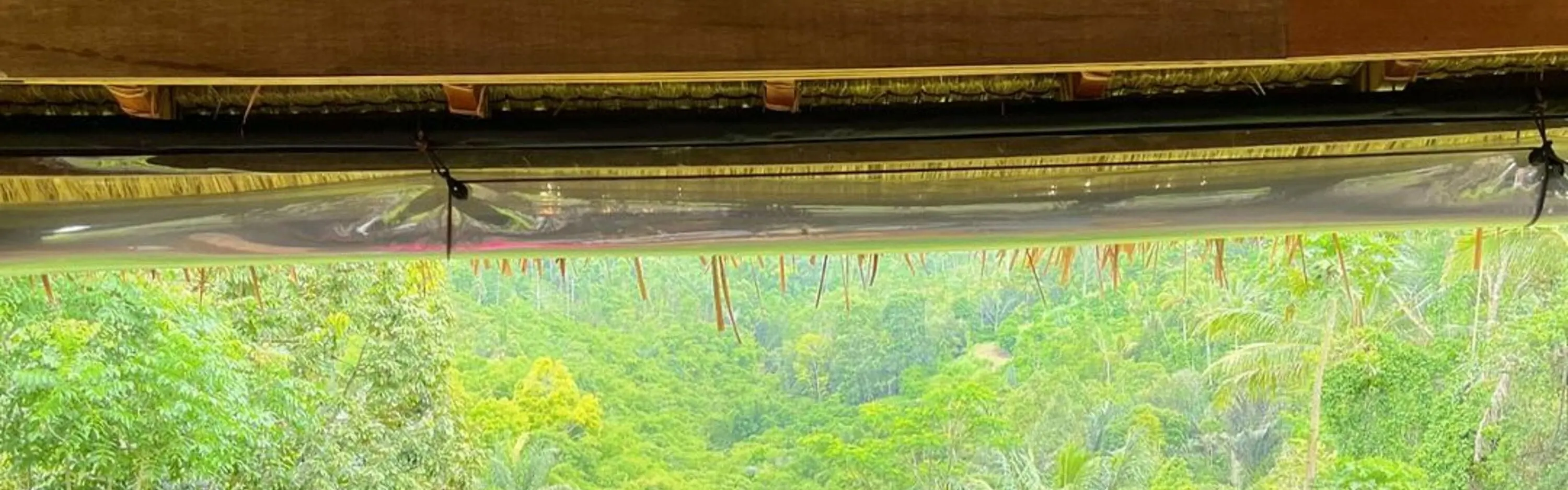 巴杜尔阿伦空吉普车日出之旅（可选摄影师）