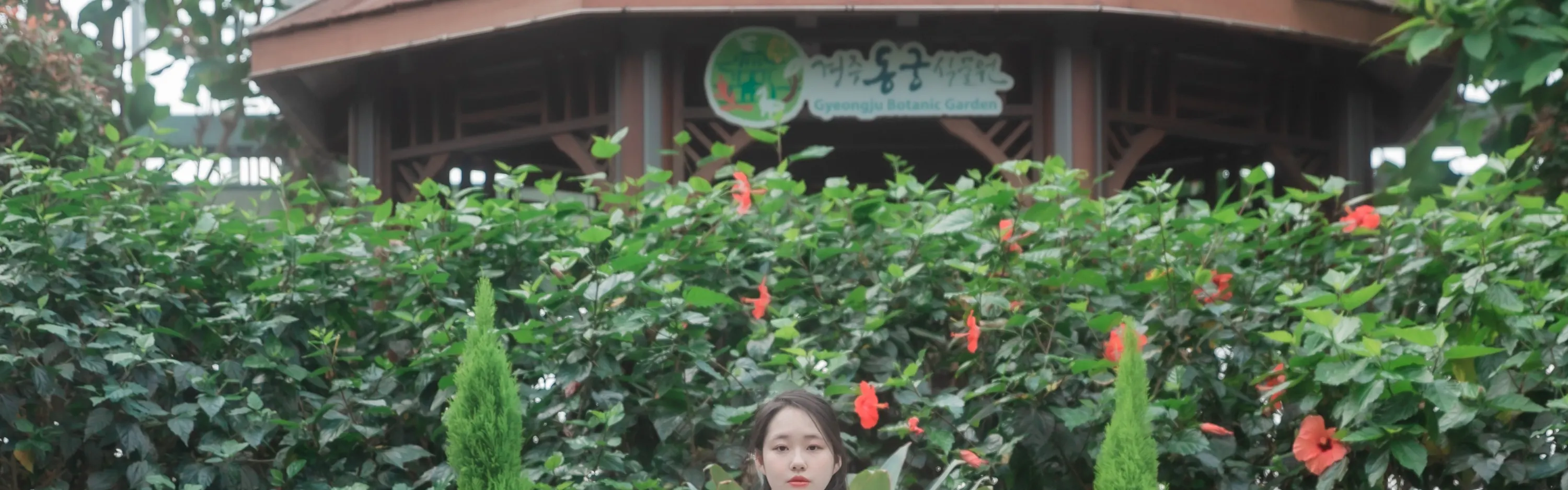 高级韩服 1