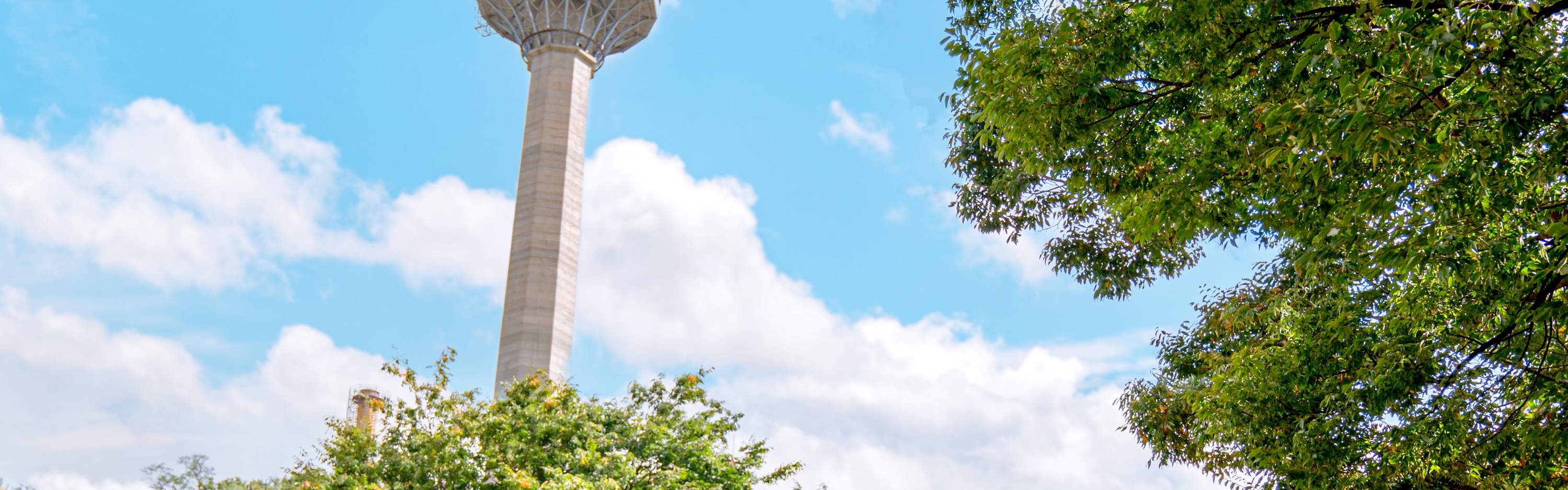 Ticket E-world Daegu