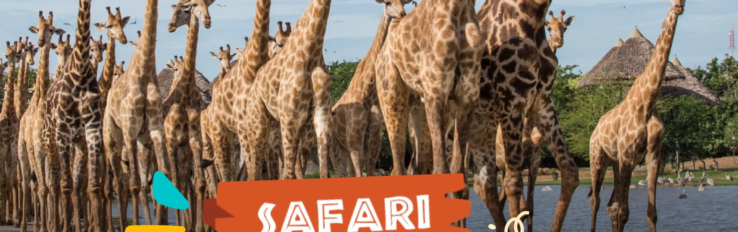Safari World must see