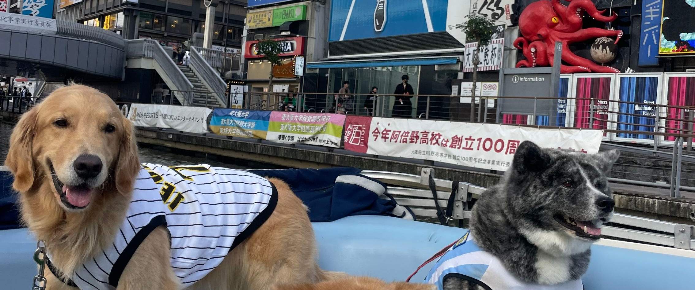 Esperienza in crociera nella città di Osaka