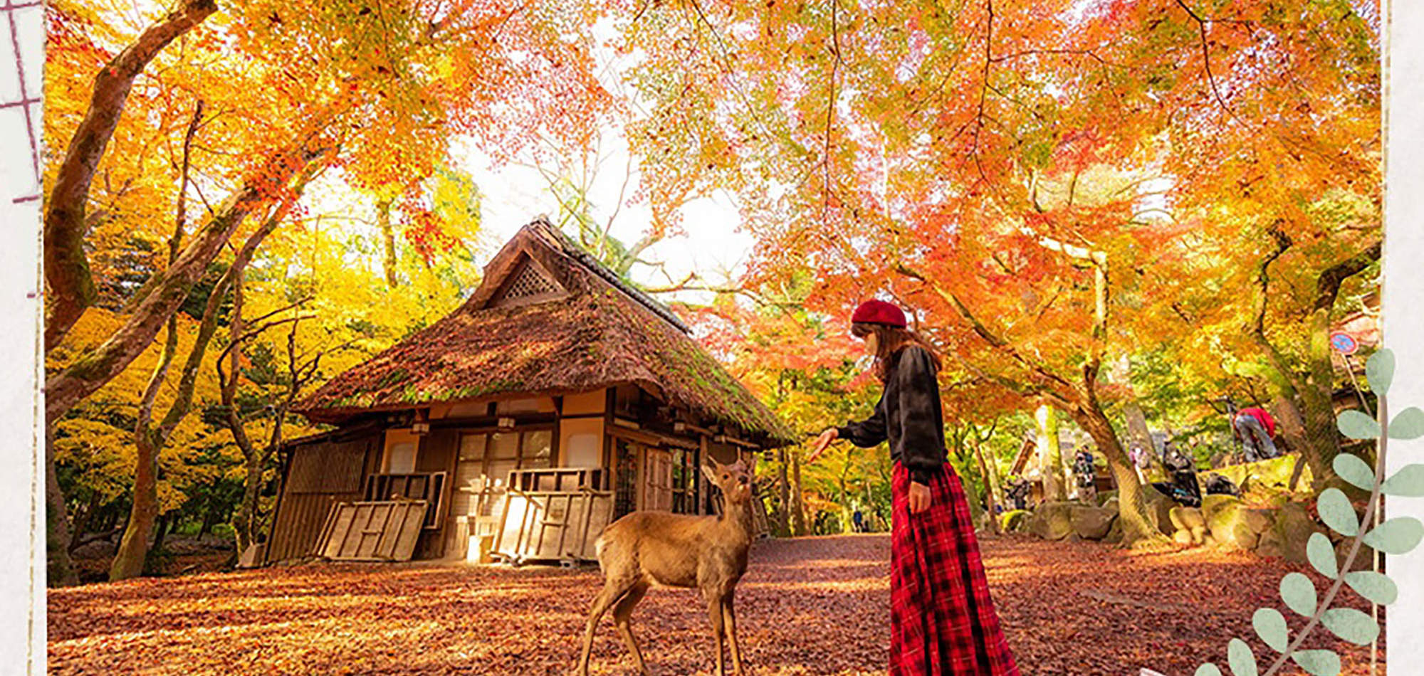 Highlights Of Kyoto And Nara Day Tour Klook Malaysia Highlights Of Kyoto And Nara Day Tour Klook Malaysia