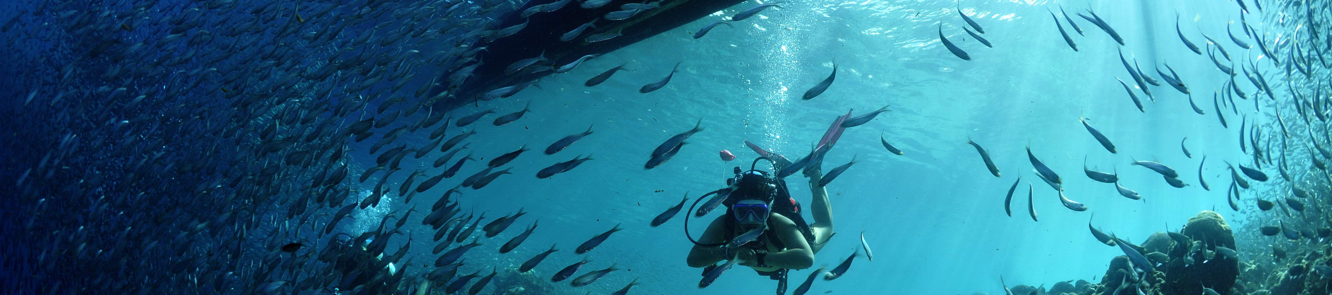 보라카이 디스커버 스쿠버다이빙 체험 by WaterColors