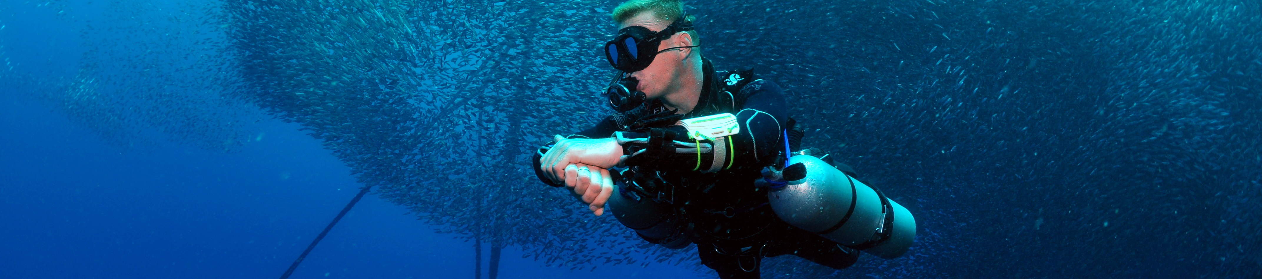 精彩的莫阿爾博阿爾礁石5次潛水方案