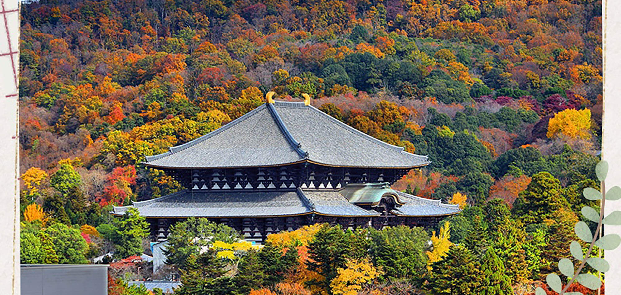 Highlights Of Kyoto And Nara Day Tour Klook Highlights Of Kyoto And Nara Day Tour Klook