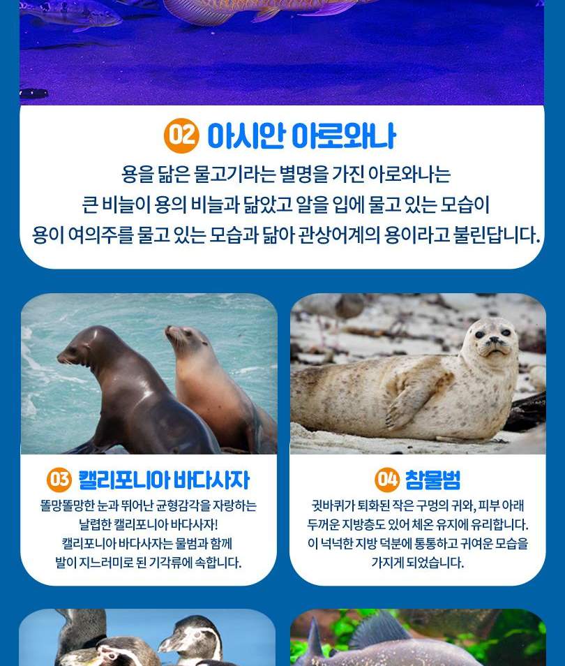 서울스카이 + 롯데월드 아쿠아리움 입장권