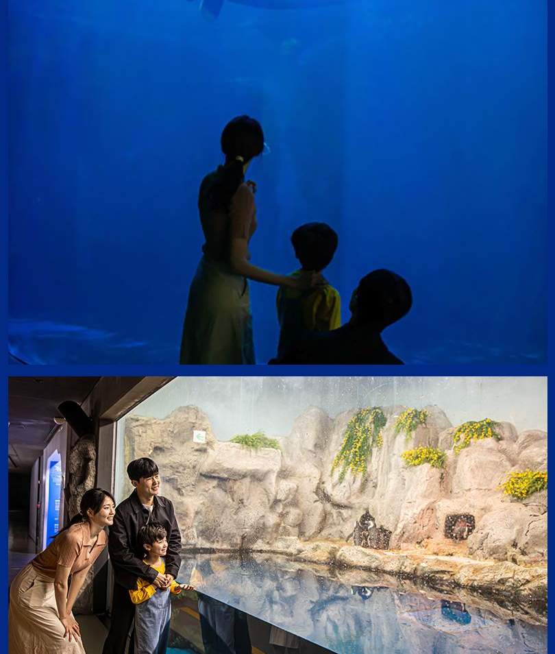 아쿠아플라넷 여수 입장권