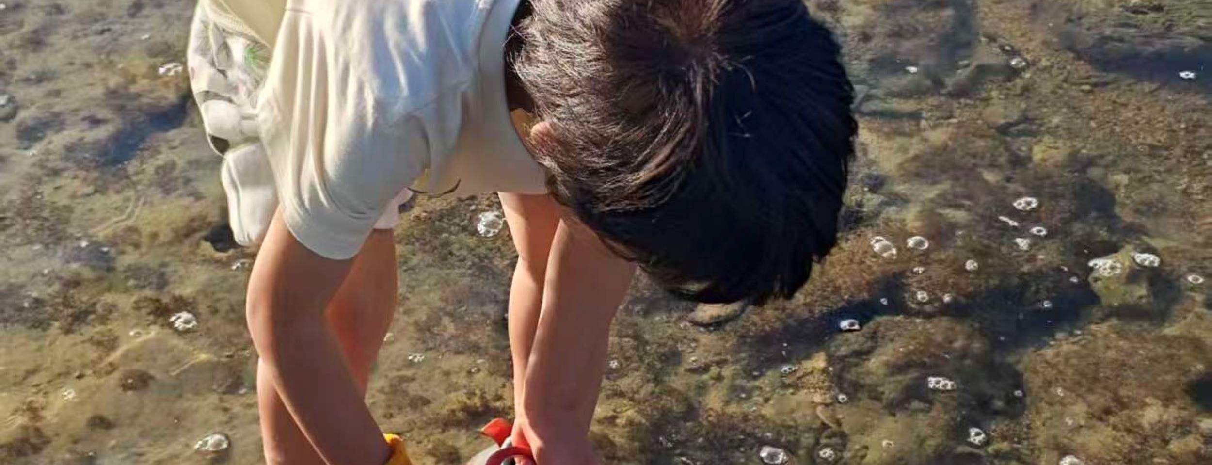 Lingshui beachcombing experience (coach explains marine knowledge) - Klook