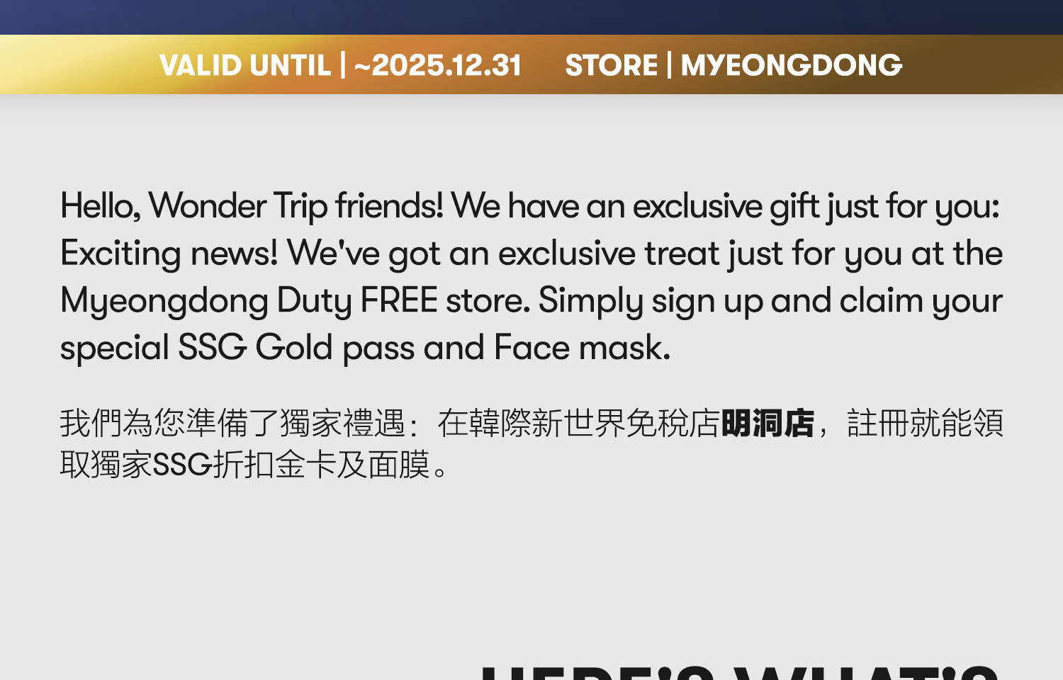 Shinsegae Bebas Cukai Myeongdong