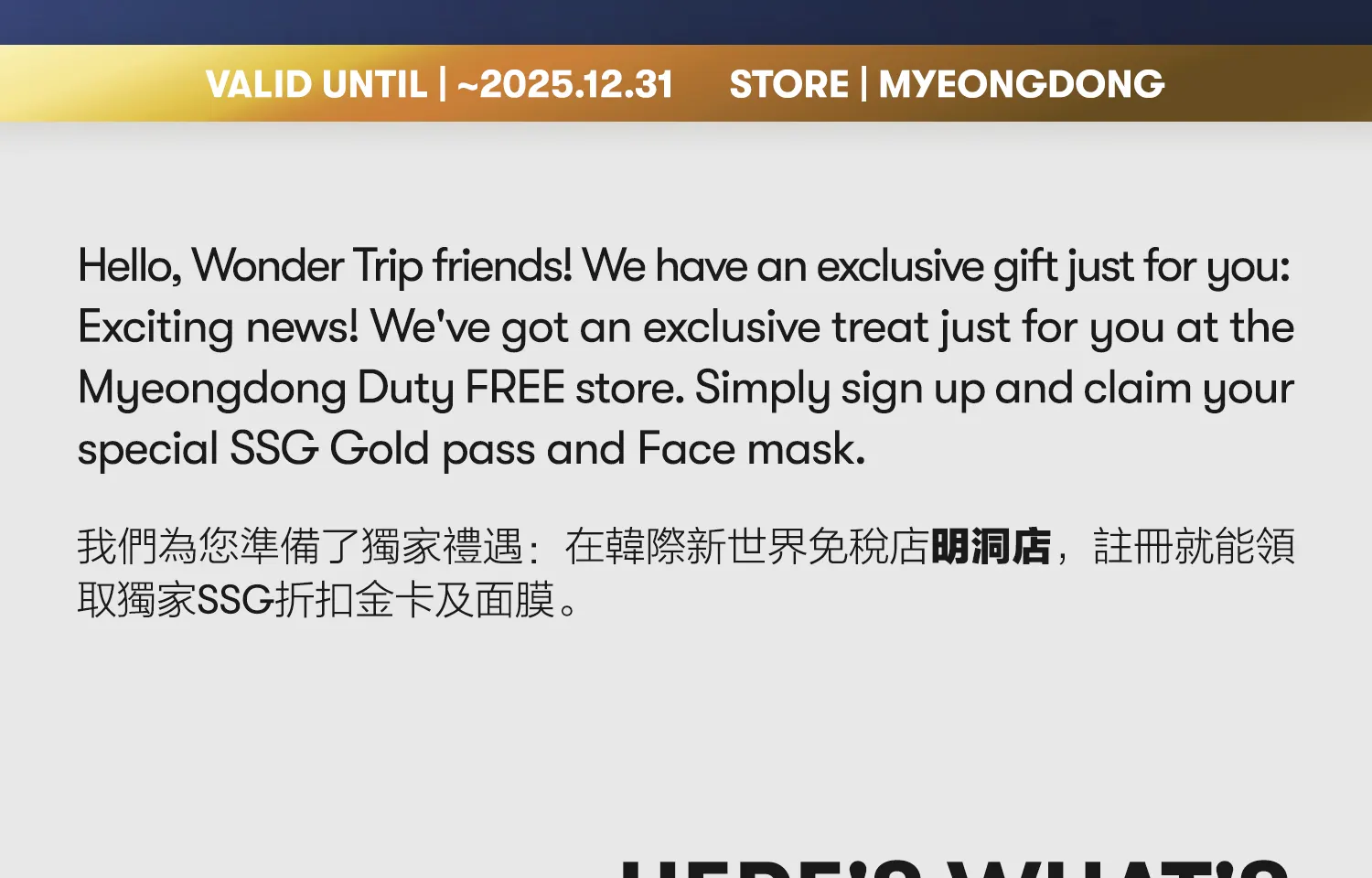 Shinsegae Duty Free Myeongdong