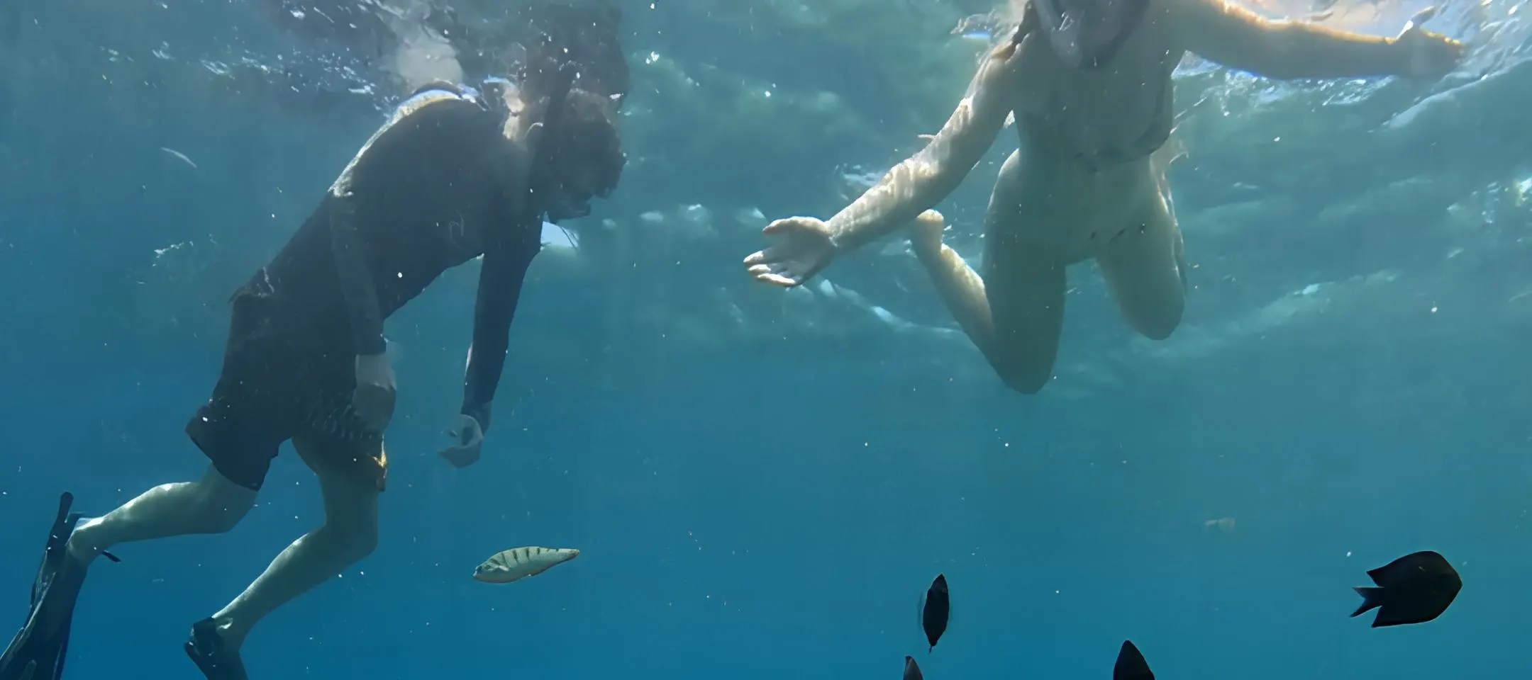 龙目岛秘密岛屿私人浮潜（带 GoPro 拍摄）