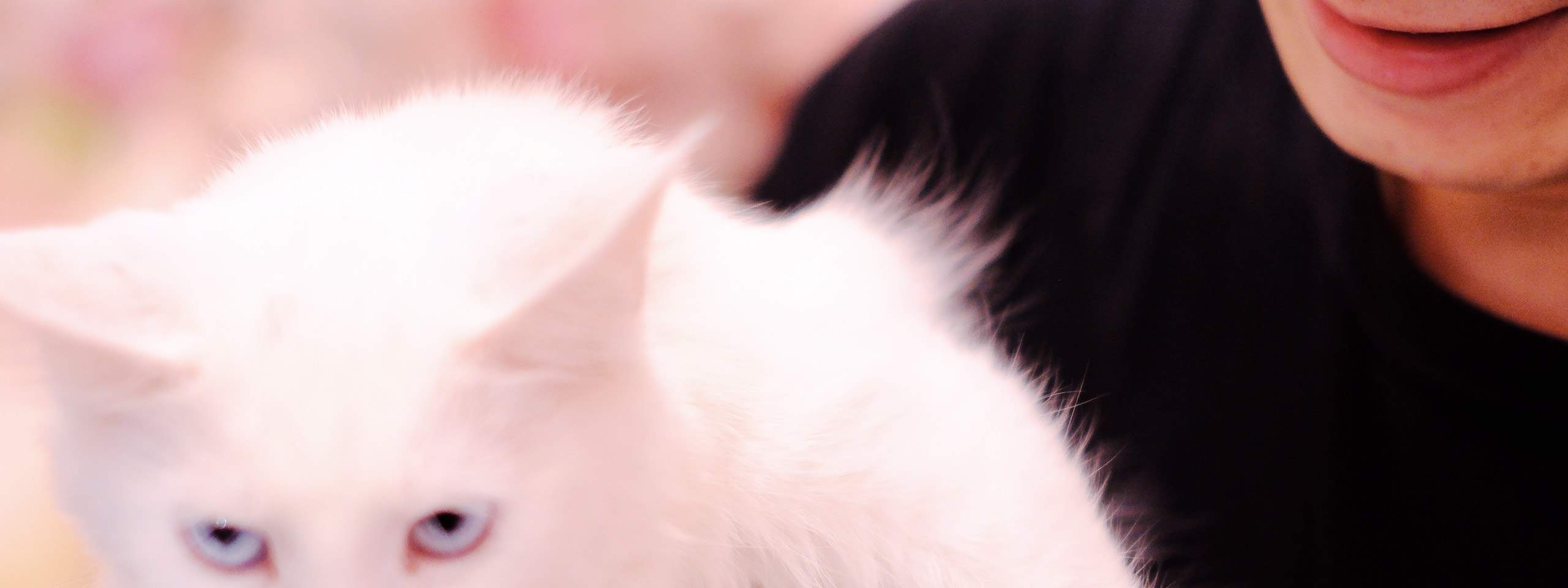 Ogni angolo è perfetto per Instagram: mettiti in posa!