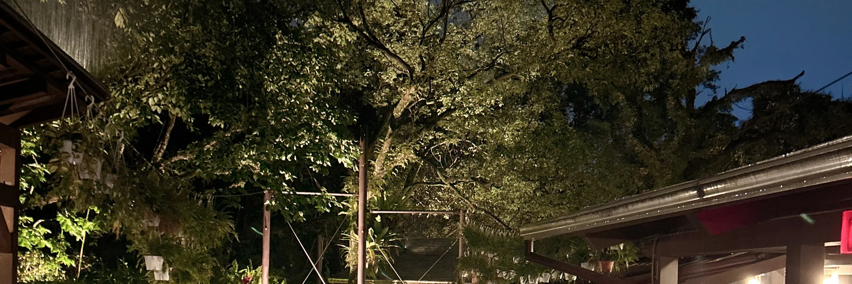 礁溪温泉公园森林风吕