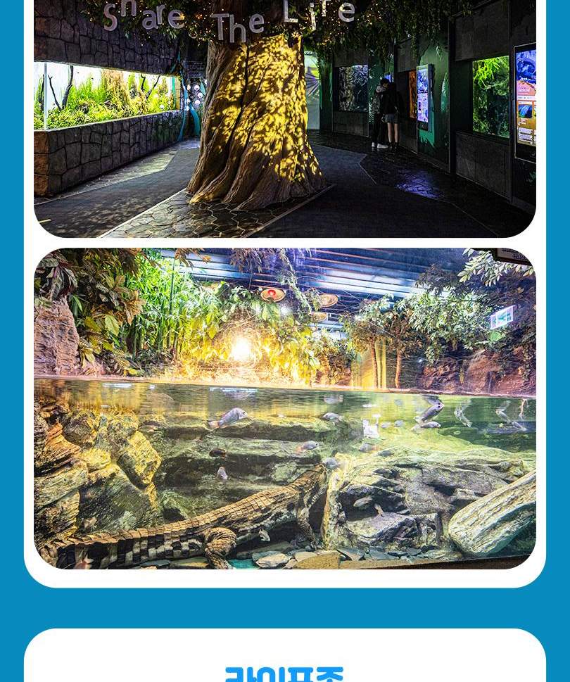 서울스카이 + 롯데월드 아쿠아리움 입장권